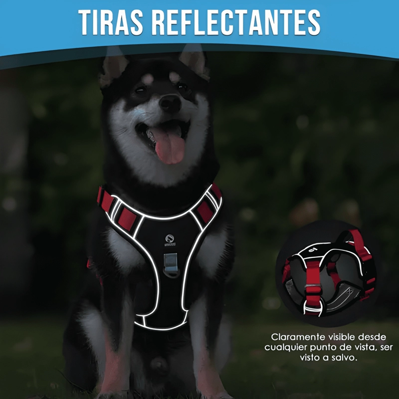 ARNE S ANTI TIRONES AJUSTABLE REFLECTANTE PERROS CON CORREA - 4