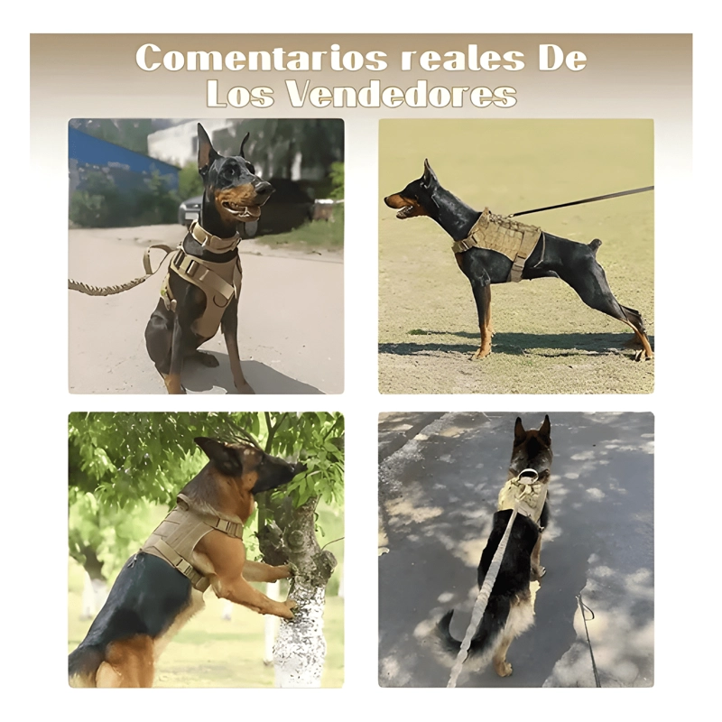 TACTICO ESTABLE ARNE S PARA PERROS GRANDES Y MEDIANOS - 4