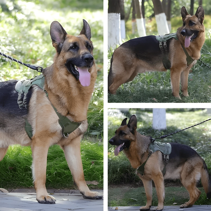 ARNE S TACTICO PROFESIONAL AJUSTABLES PARA PERROS GRANDES - 4