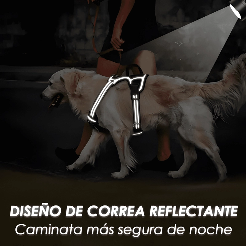 ARNE S ANTI TIRONES AJUSTABLE REFLECTANTE PARA PERRO S - XL - 4