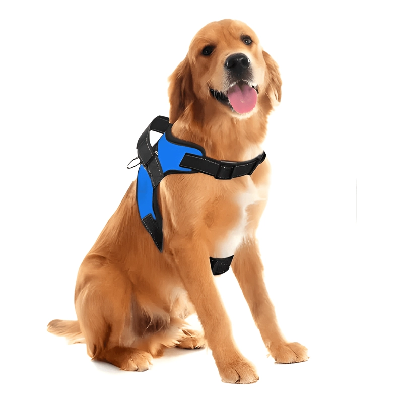 ARNE S POLICE K9 REFORZADO PREMIUM PARA PERROS MASCOTAS - 2