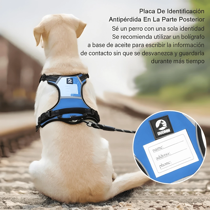 ARNE S PECHERA LUMINOSO PERRO GRANDE AJUSTABLE AZUL MARINO - 1