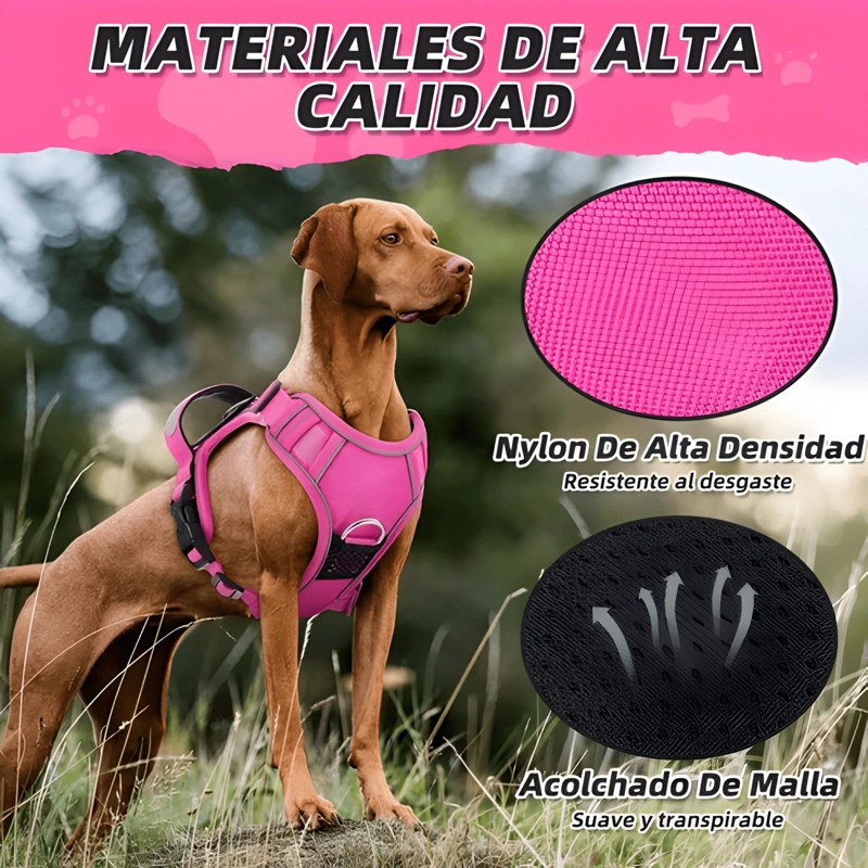 ARNE S DE PERROS GRANDE MEDIANO PEQUEÑO CON PORTA AIRTAG - 1