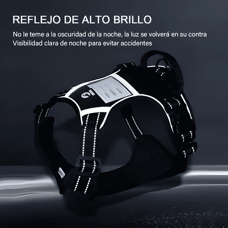 ARNE S PARA PERRO PECHERA CON LUZ LED Y CORREA DE 1.5M - 2