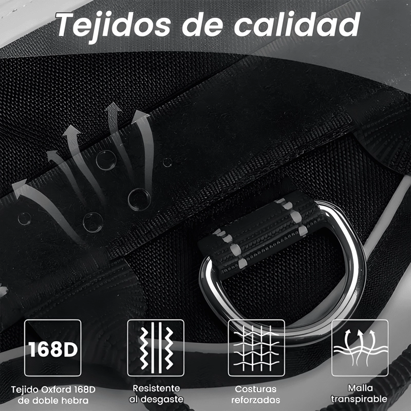 ARNE S PARA PERRO PECHERA CON LUZ LED Y CORREA DE 1.5M - 3