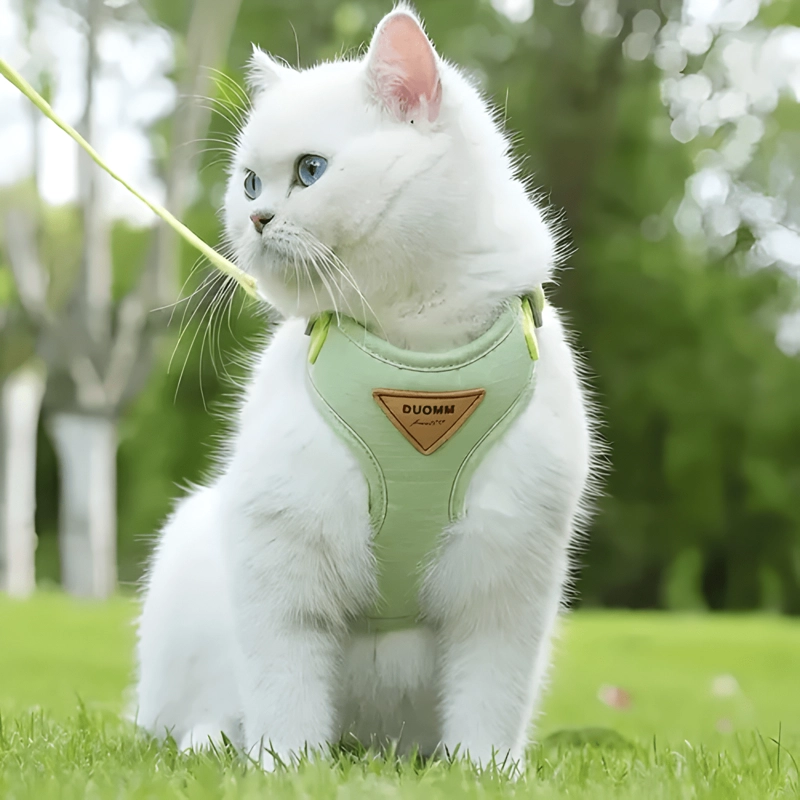 SET ARNE S ANTIAHOGO AJUSTABLE PARA PERRO GATO PEQUEÑOS - 1