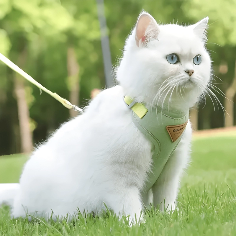 SET ARNE S ANTIAHOGO AJUSTABLE PARA PERRO GATO PEQUEÑOS - 2