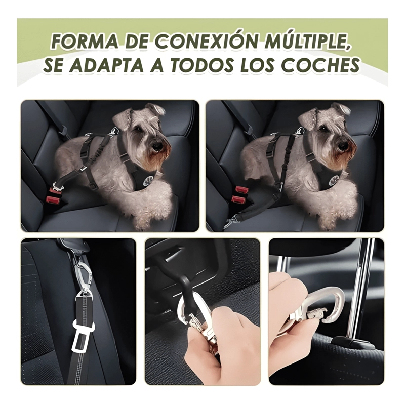 ARNE S AJUSTABLE REFLECTANTE CON CINTURON SEGURIDAD #2 - 2