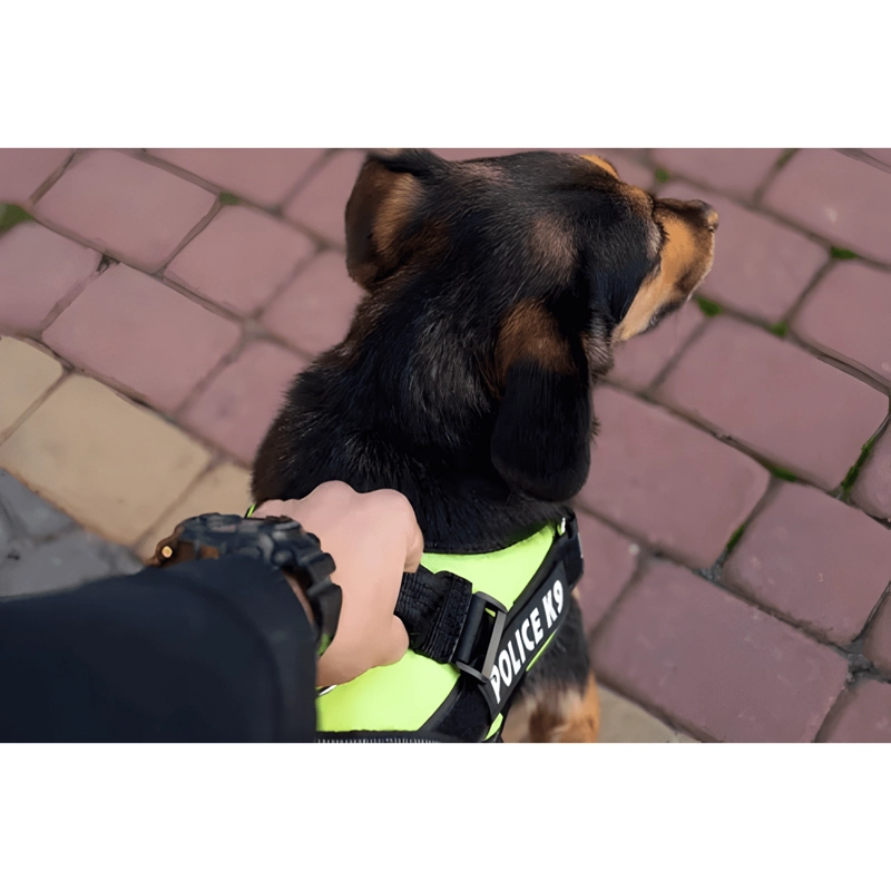 ARNE S PECHERA K9 ACOLCHADO REFORZADO PERROS GRANDES TALLA L - 3