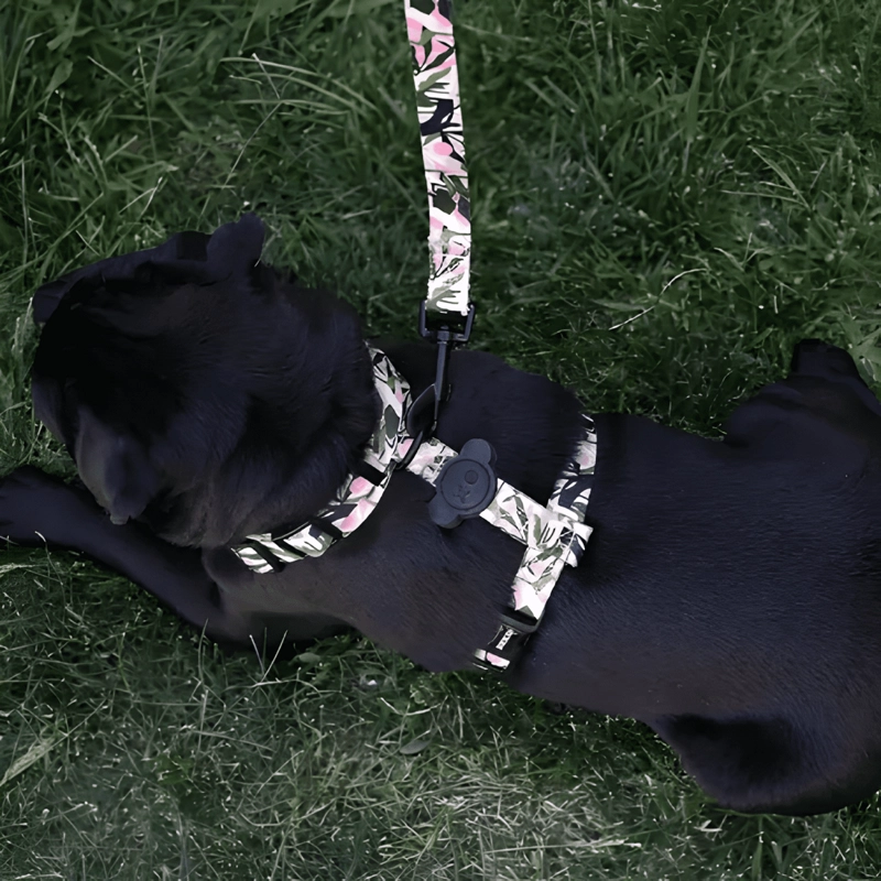 BRNX ARNE S TIPO H PARA PERRO DISEÑO FOREST PINK TALLA M - 2