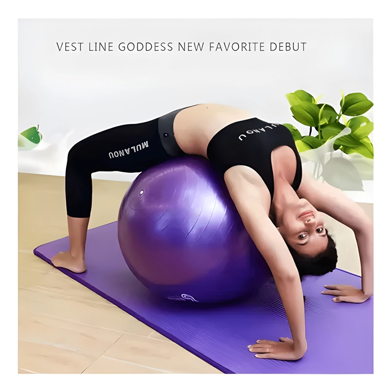 PELOTA YOGA 55CM PELOTA PILATES EJERCICIO CROSSFIT COLORES - 2