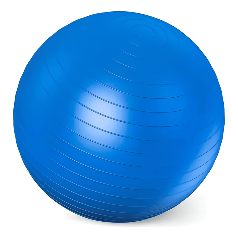 PELOTA DE PILATES BALON YOGA 65CM + INFLADOR LISA Y ERIZO - 3