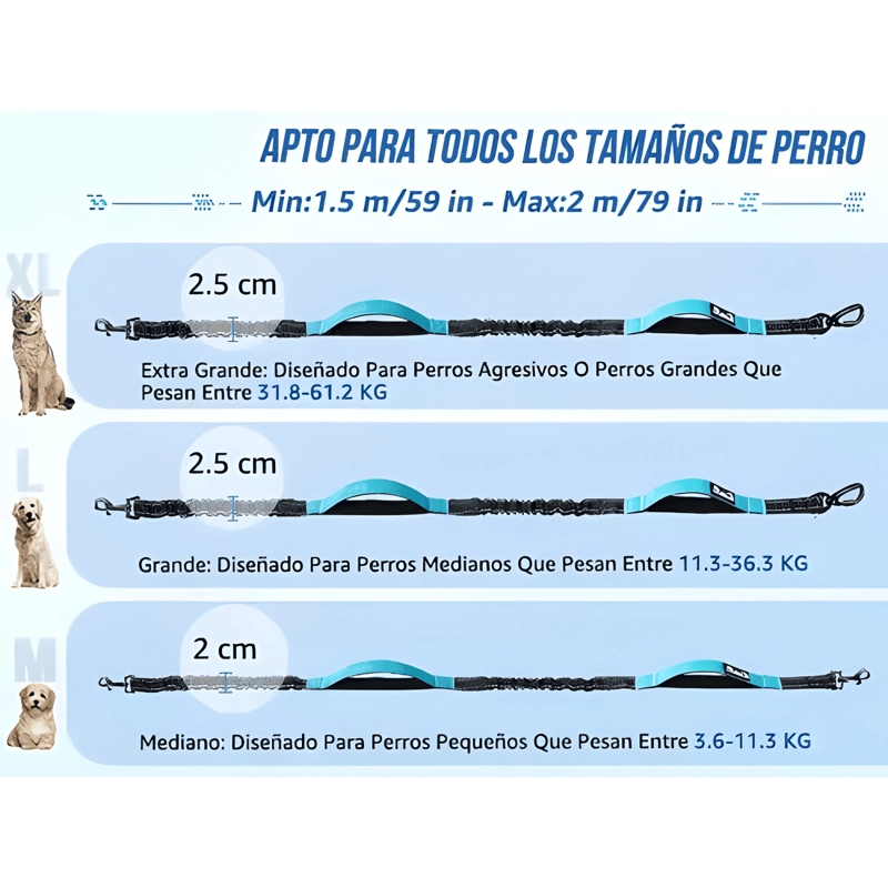 CORREA MANOS LIBRES PERRO CON EXTRAIBLE RIÑONERA CREMALLERA - 4