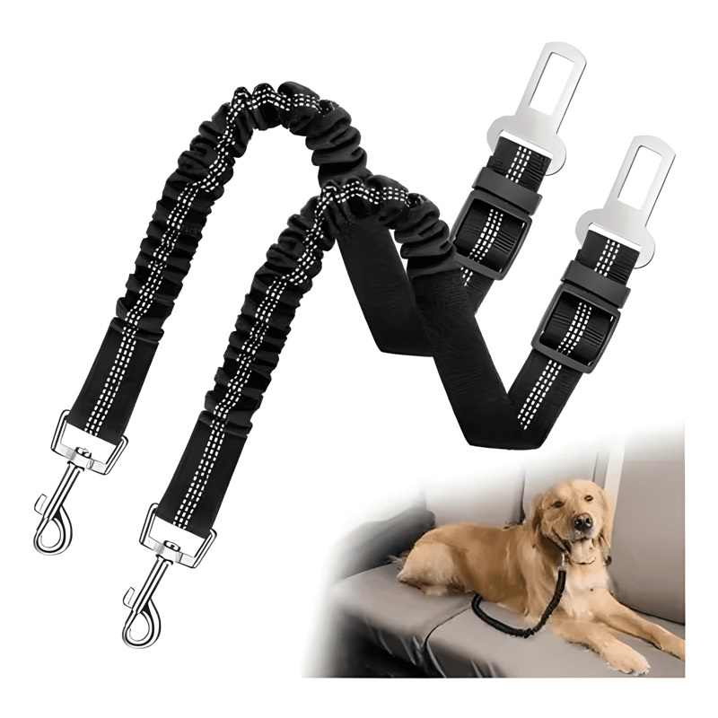 CINTURON SEGURIDAD PERRO GATO ZONA MASCOTAS CORREA ELASTICA - 1