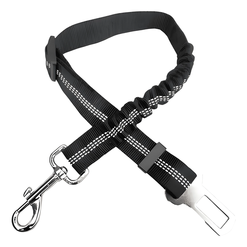 CINTURON SEGURIDAD PERRO GATO ZONA MASCOTAS CORREA ELASTICA - 4