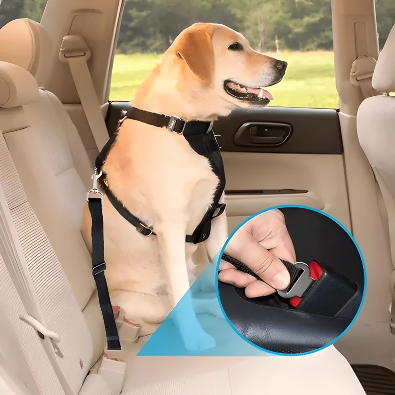 CINTURON SEGURIDAD PARA PERROS NYLON AJUSTABLE THE NEGRO - 3