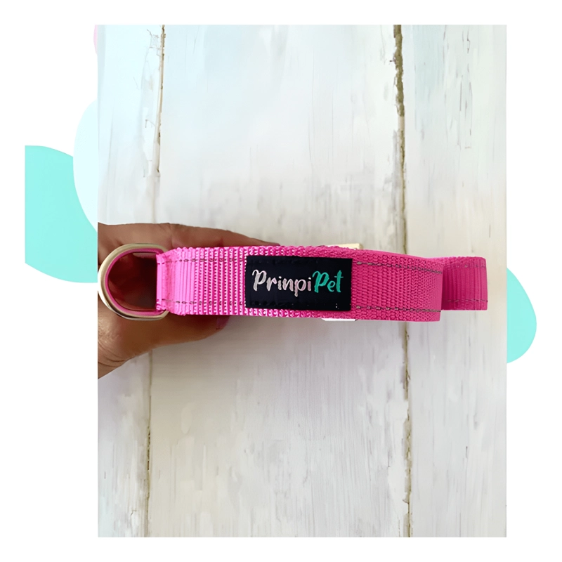 CORREA LARGA PARA PERROS PRINPIPET-3 METROS FUCSIA - 3