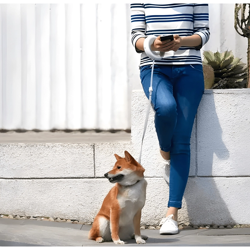 CORREA DOBLE PARA MASCOTAS PERROS - RETRACTIL 360 GRADOS - 2