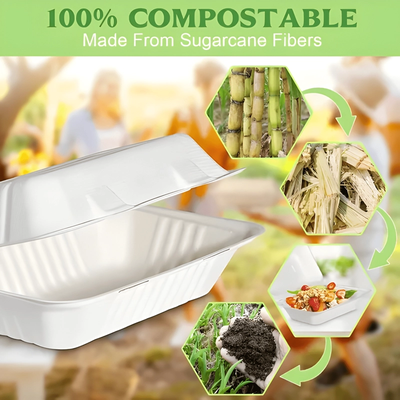ENVASE BIODEGRADABLE PORTA COLACION Y COMIDAS 50U - 2