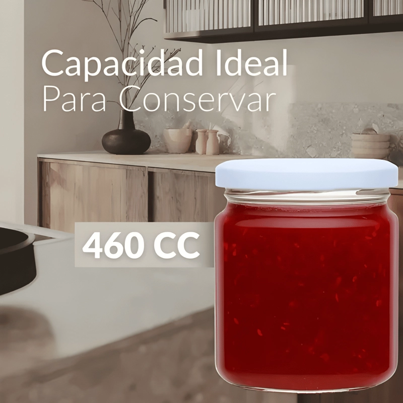 FRASCO CONSERVERO 460 CC TAPA METALICA 48U - 1