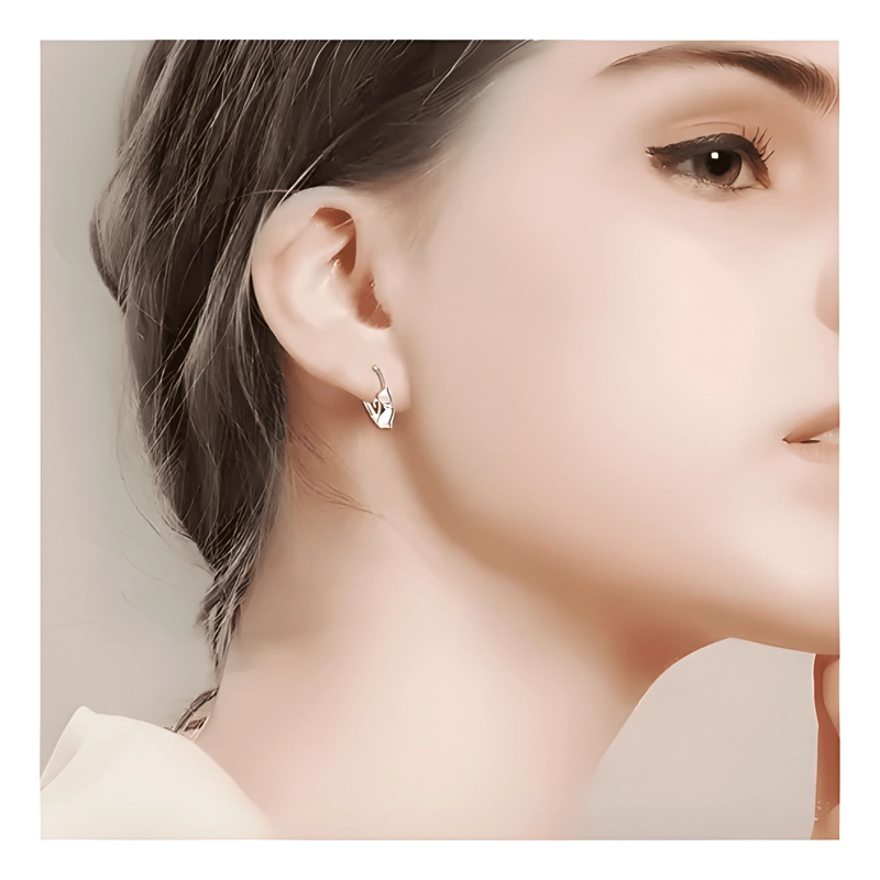 AROS PENDIENTES GATO ZIRCONIA MUJER DE PLATA S925 - 3