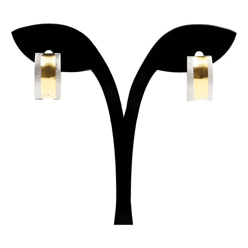 AROS ARGOLLA BISAGRA ACERO QUIRURGICO AB03 1 PAR - 2