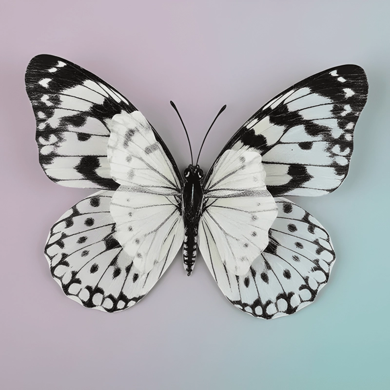 X12 MARIPOSAS DECORATIVAS 12-10-8-6CM MANUALIDAD MULTICOLOR - 3