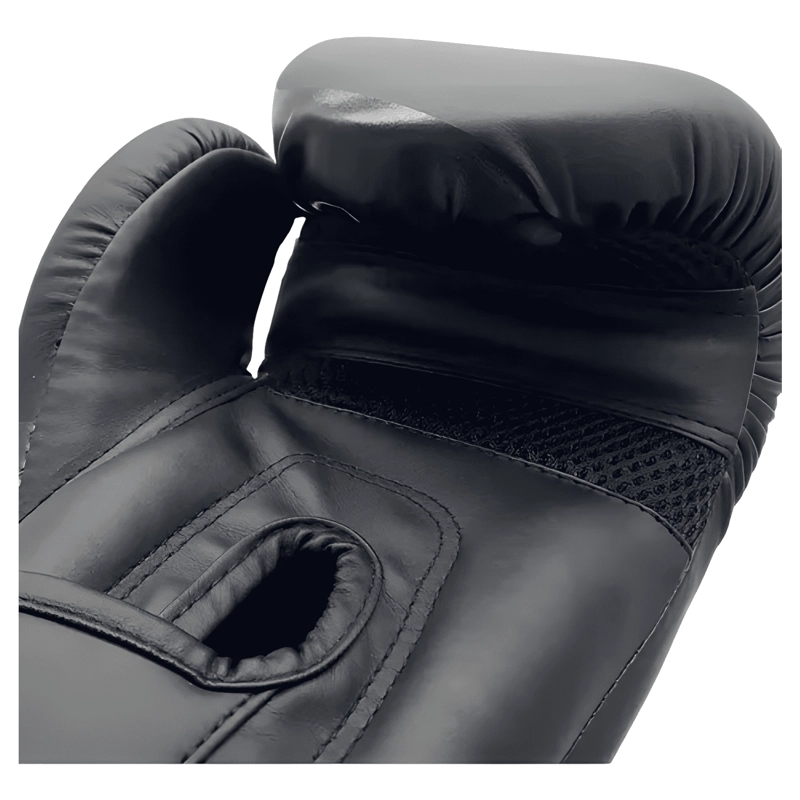 GUANTES DE BOXEO PARA KICKBOXING STRAP VELCRO 10OZ - 2