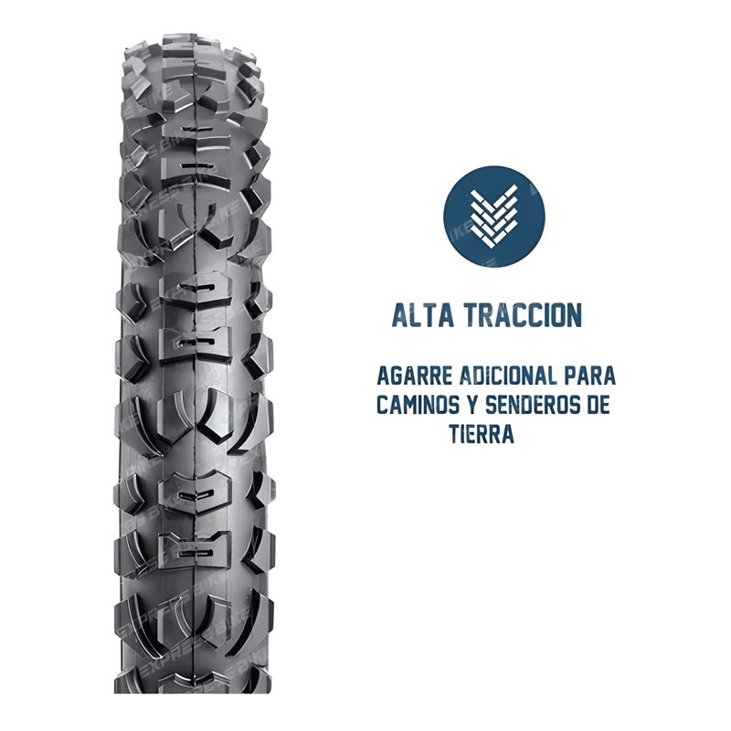 PACK 2 NEUMATICOS Y CAMARAS MAXXIS VALVULA AUTO 26X2.10 - 2
