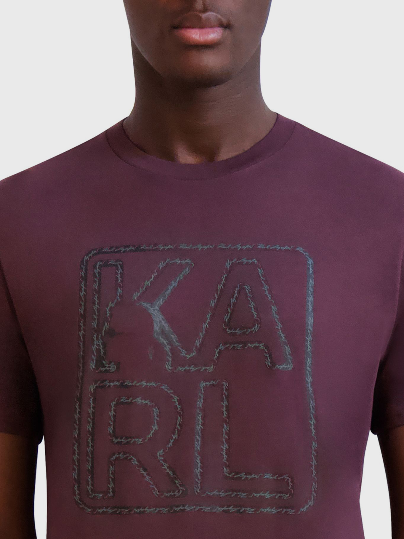 POLERA GRAFICA CON PERFIL - 5