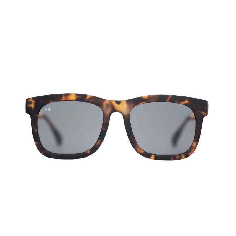 LYNCH TORTOISE - 1