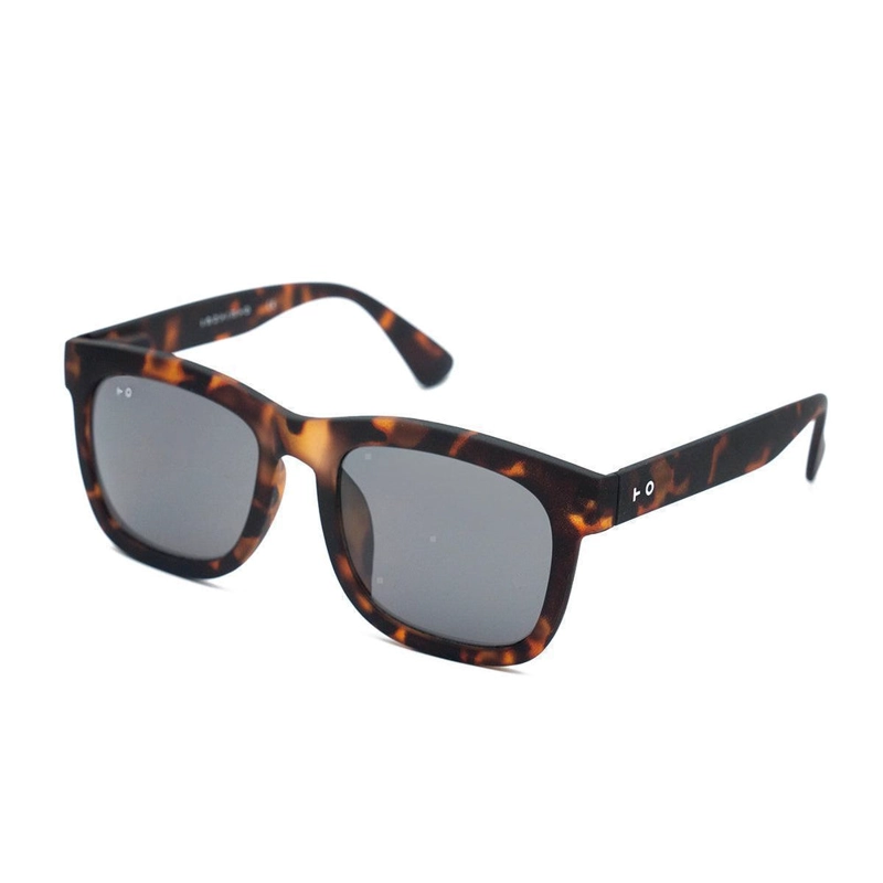 LYNCH TORTOISE - 2