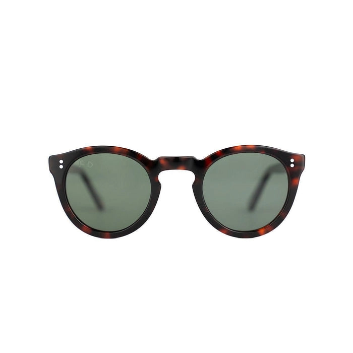 AKIRA TORTOISE - 1