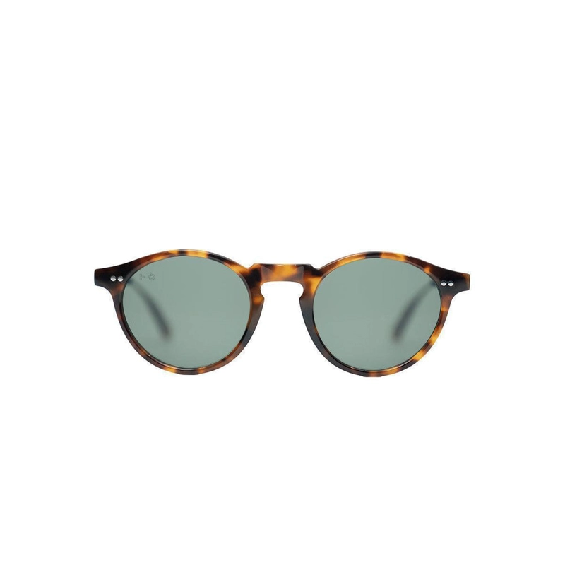 CLINT TORTOISE - 1