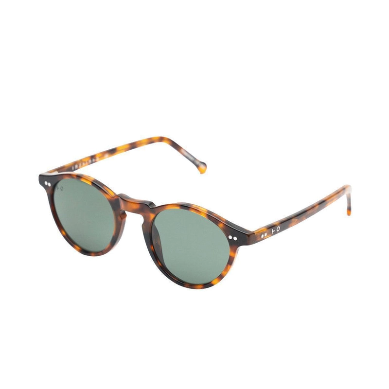 CLINT TORTOISE - 2