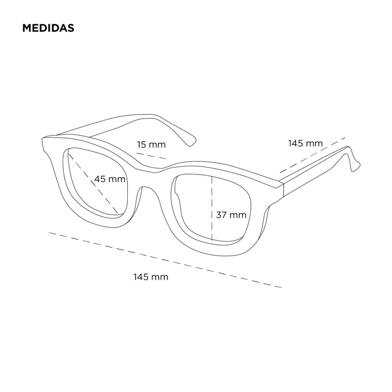 RAY TORTOISE - 4