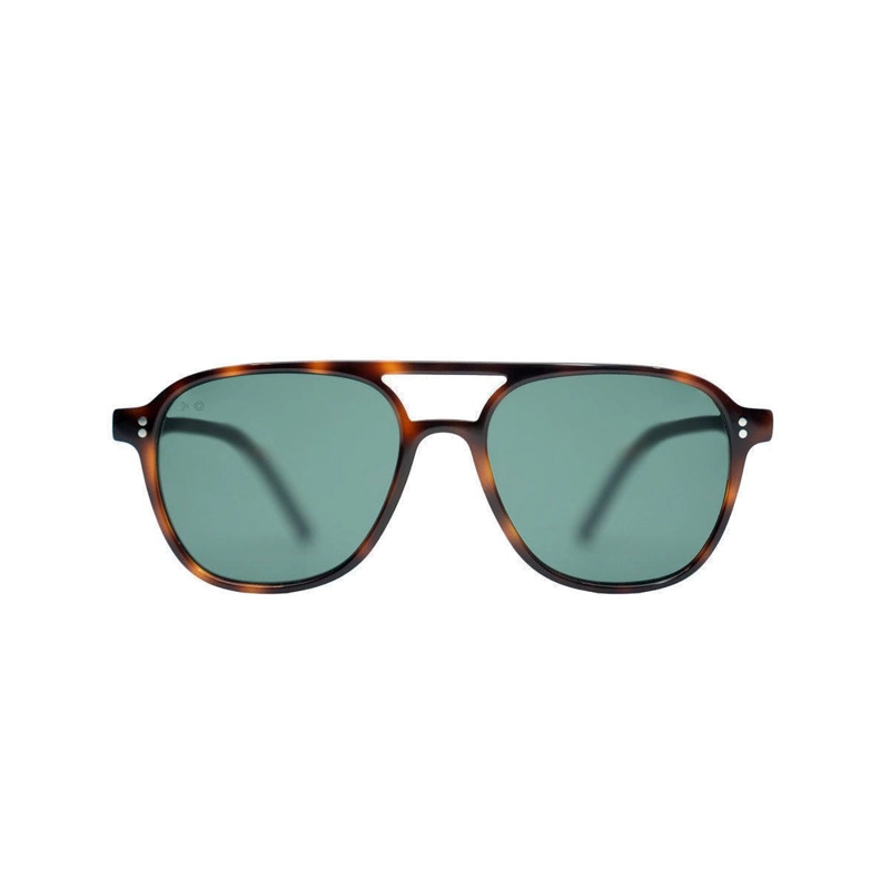 GEORGE TORTOISE - 1