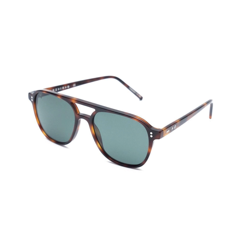 GEORGE TORTOISE - 2