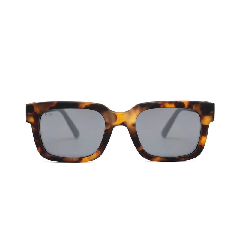 DUSTY TORTOISE - 2