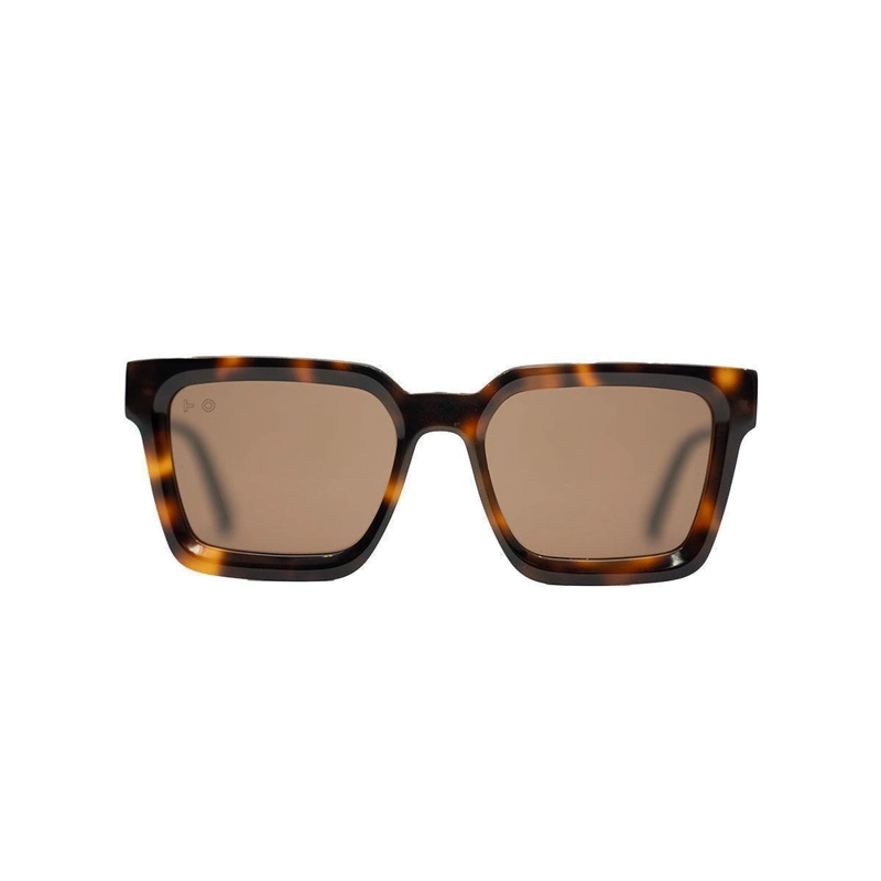 MIRO TORTOISE - 1