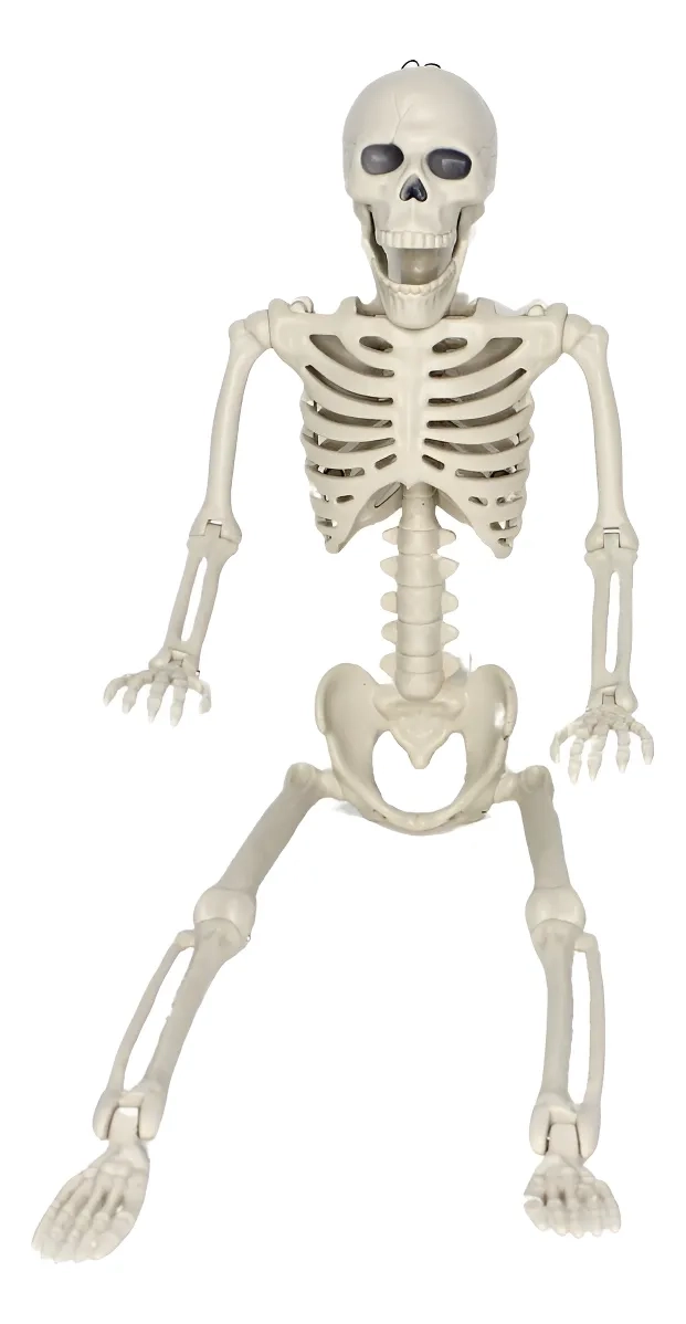 ESQUELETO HUMANO ARTICULADO DE 40 CM - 1