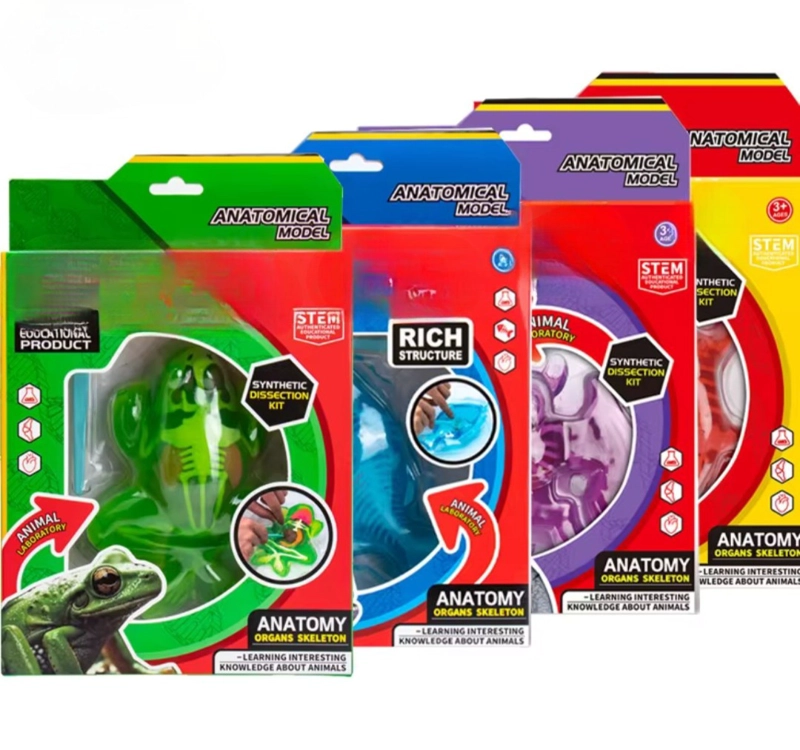 KIT EDUCATIVO DE CIENCIAS PARA NIÑOS JUEGO DE DISECCION ANIMAL - 1