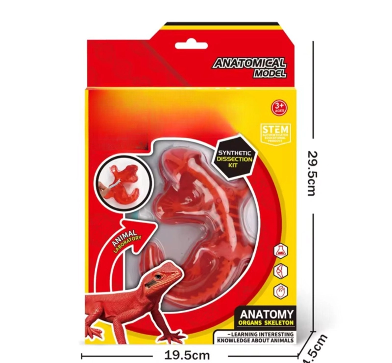 KIT EDUCATIVO DE CIENCIAS PARA NIÑOS JUEGO DE DISECCION ANIMAL - 2