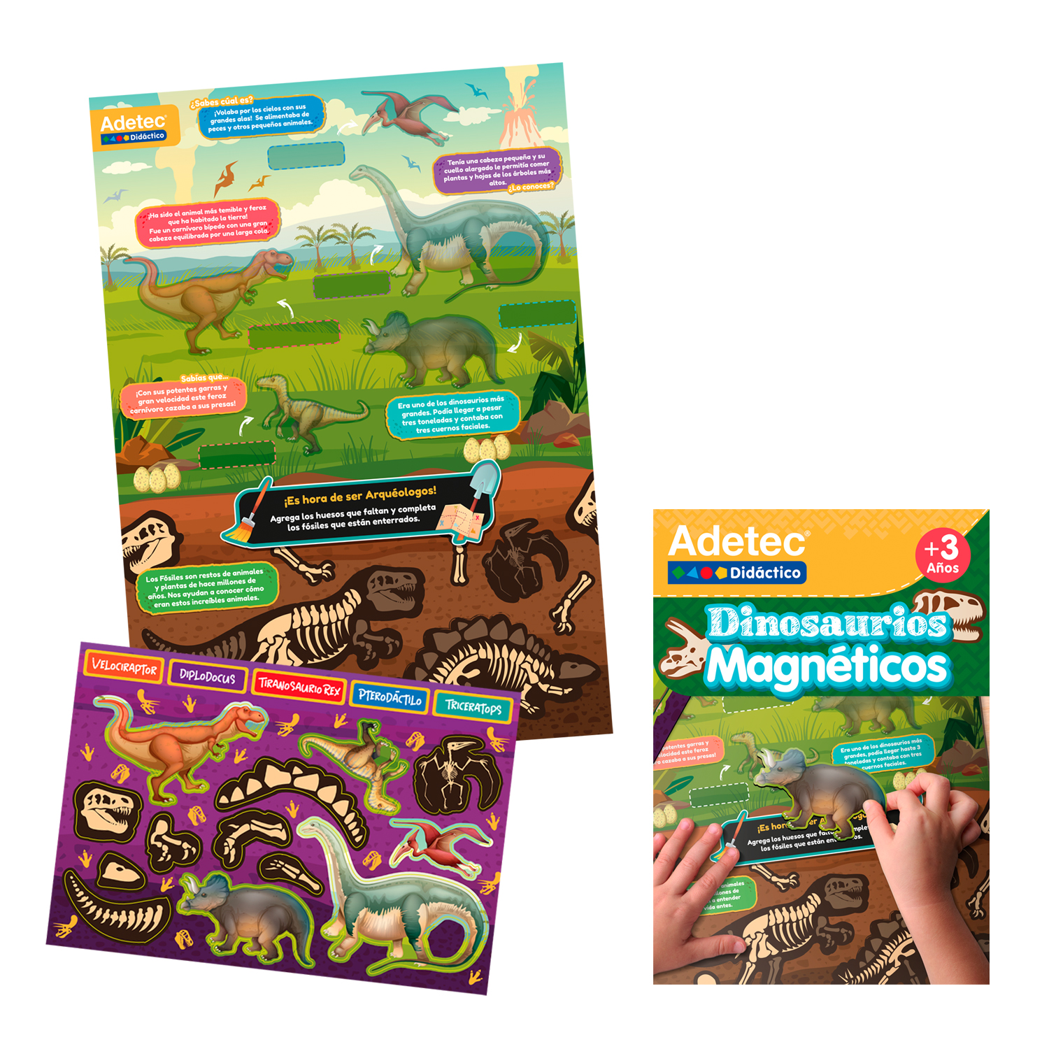 DINOSAURIOS LÁMINAS MAGNÉTICAS JUEGA Y APRENDE - 4