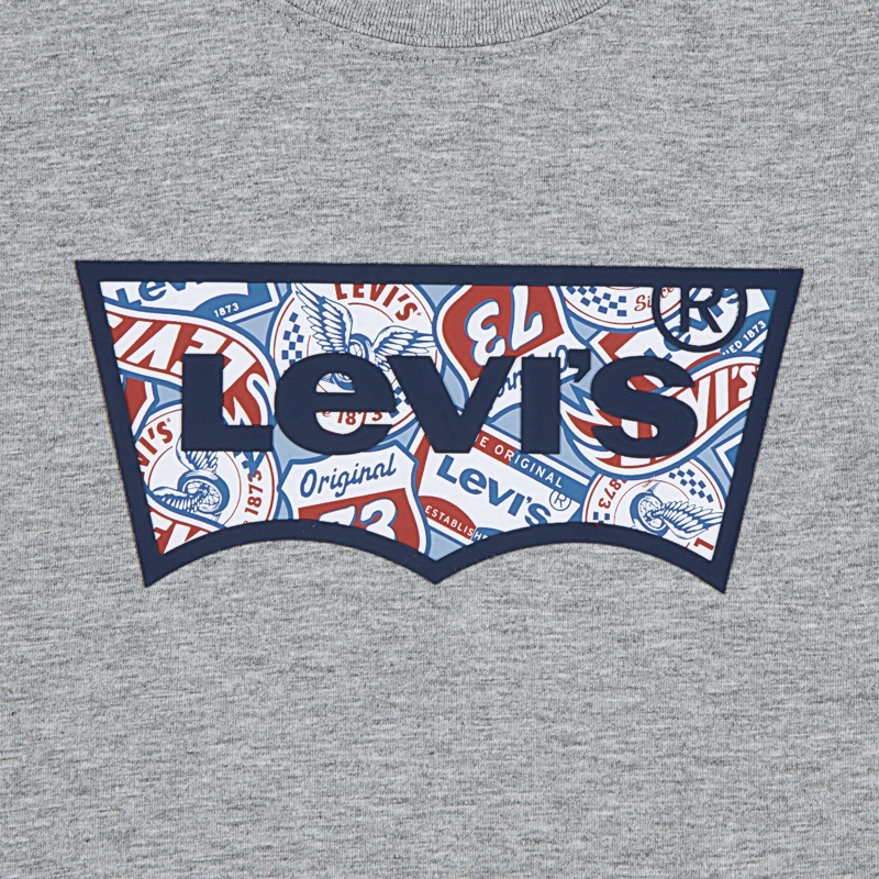 POLERA NIÑO MC BATWING GRAPHIC GRIS LEVIS - 4