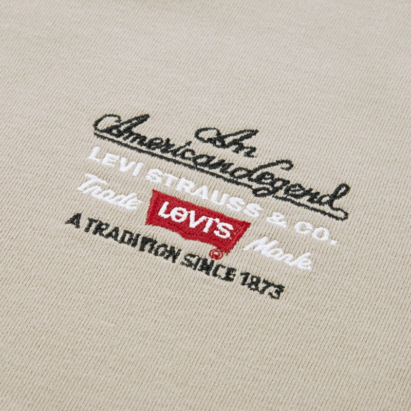 POLERA NIÑO ML GRAPHIC KHAKI LEVIS - 3