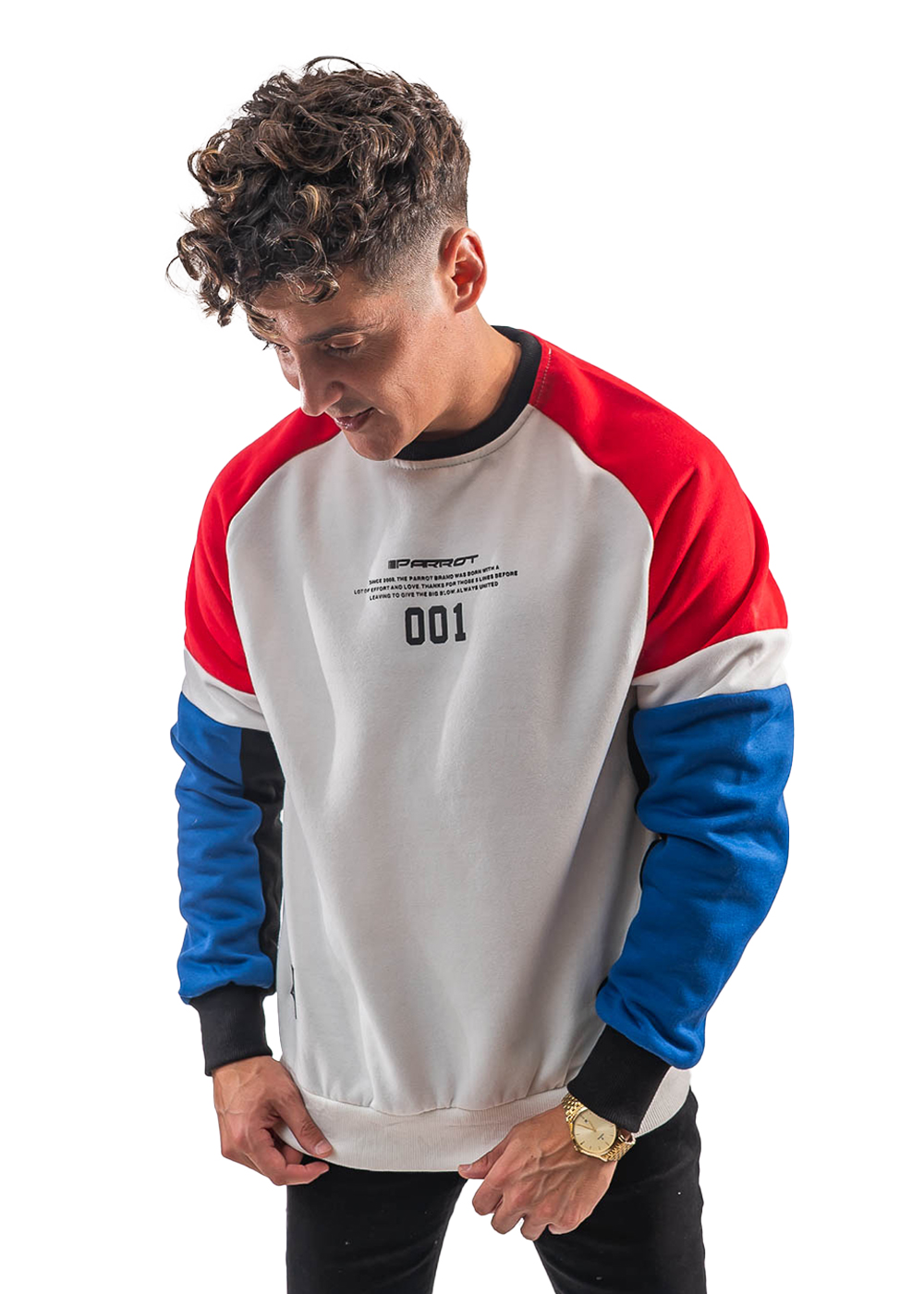 POLERÓN CUELLO REDONDO, DISEÑO TRICOLOR. - 1