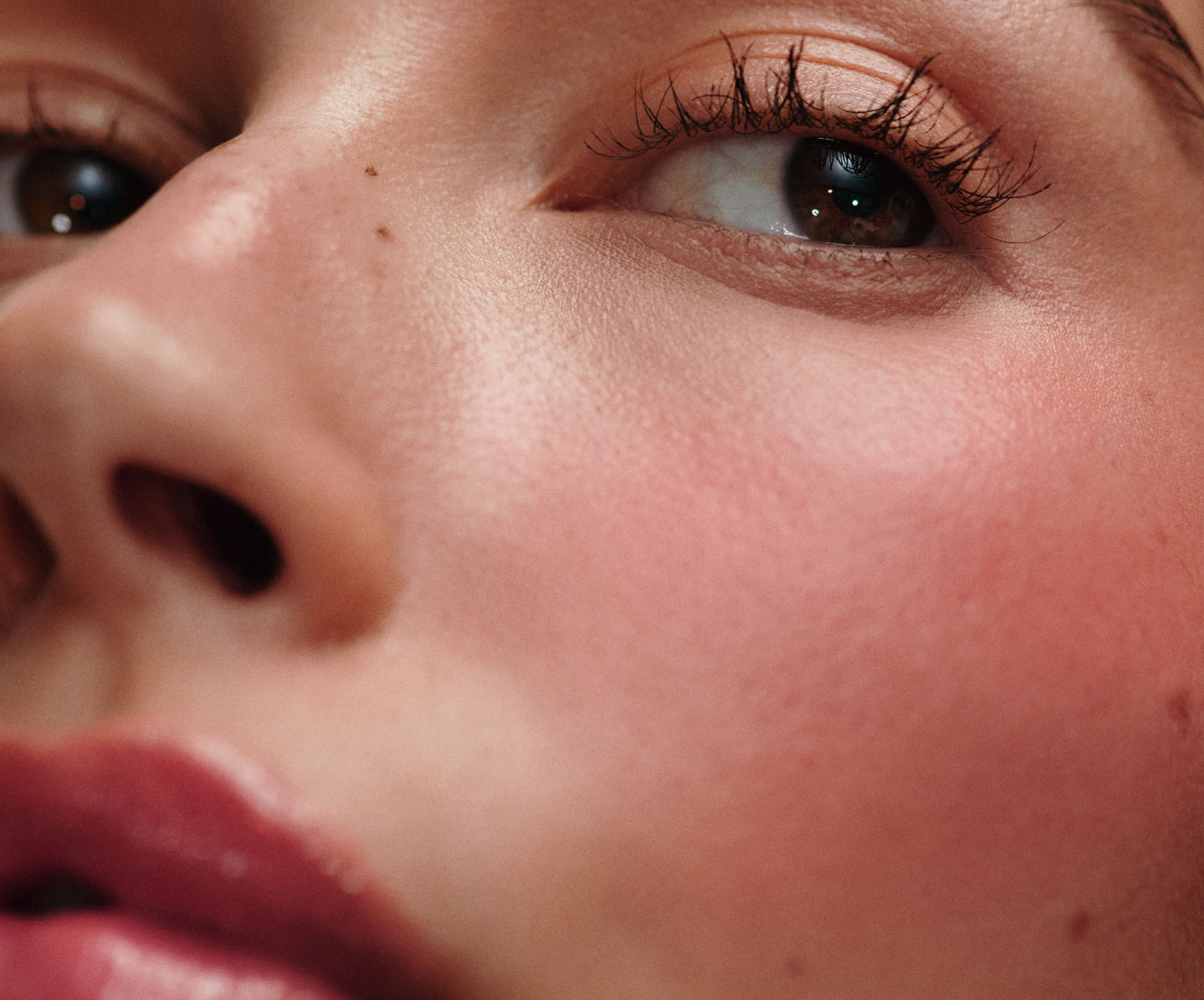POCKET BLUSH - FRECKLE DE RHODE - 2