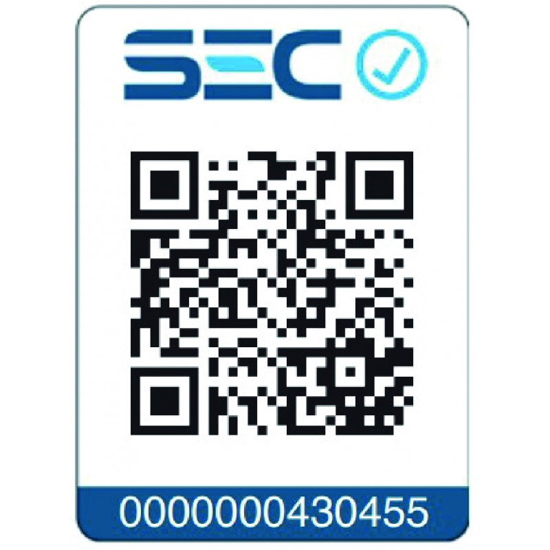 ENCIMERA INDUCCION SINDELEN CEI-4252NG INDUZIONE 2 PLATOS - 6