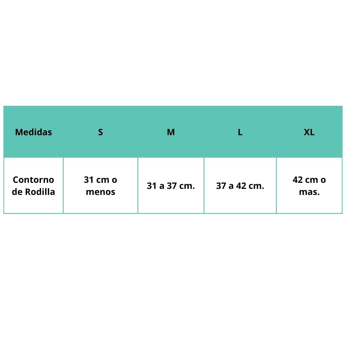 RODILLERA POLICENTRICA PARA MUJER TALLA L-BLUNDING - 2